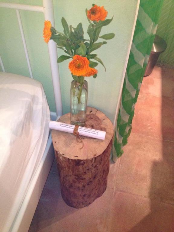 Finca Ecologica Ibicenca Hotel San Rafael De Sa Creu Kültér fotó